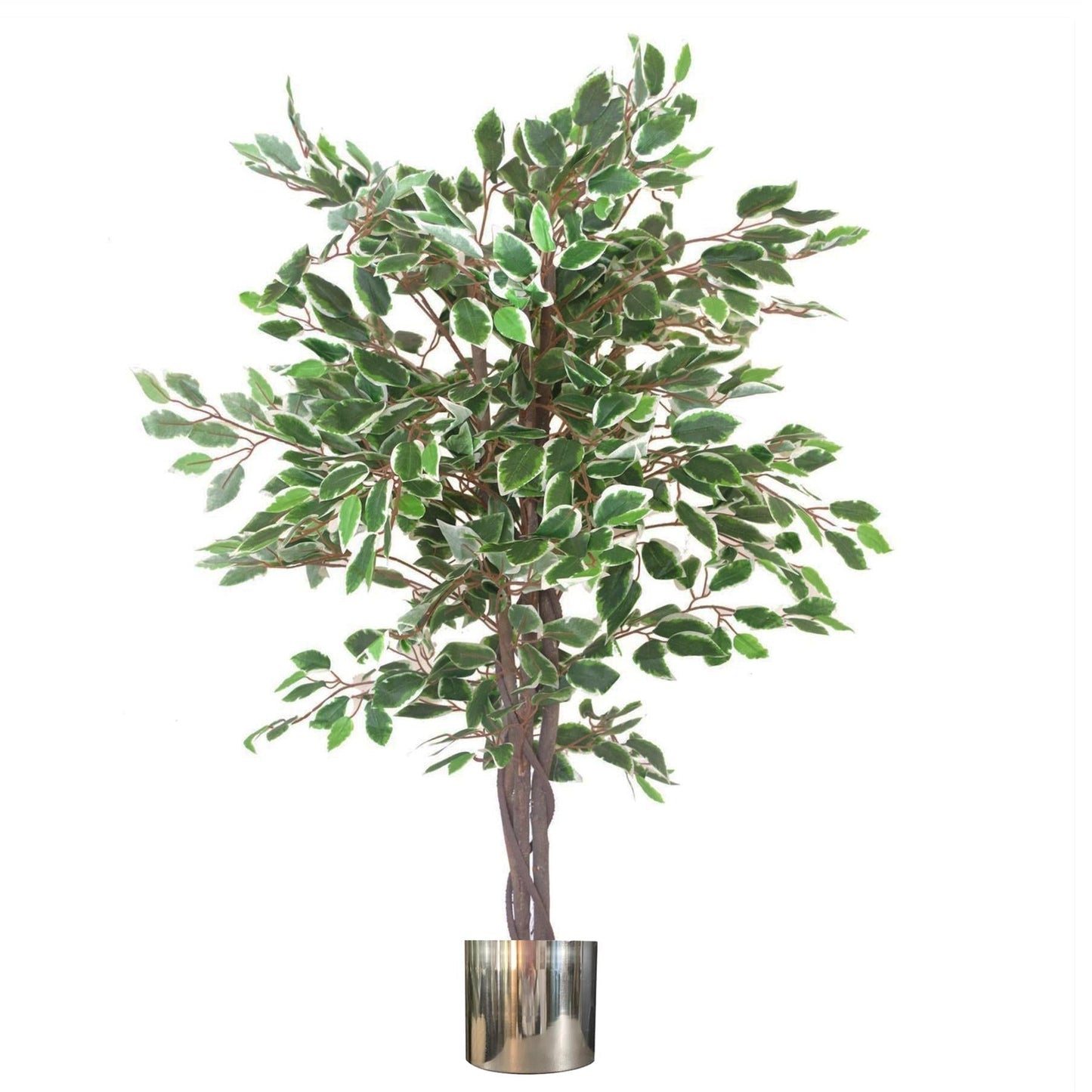 Artificial Ficus Tree Plant White Edge Twist 130cm Plants Silver Metal Planter-0